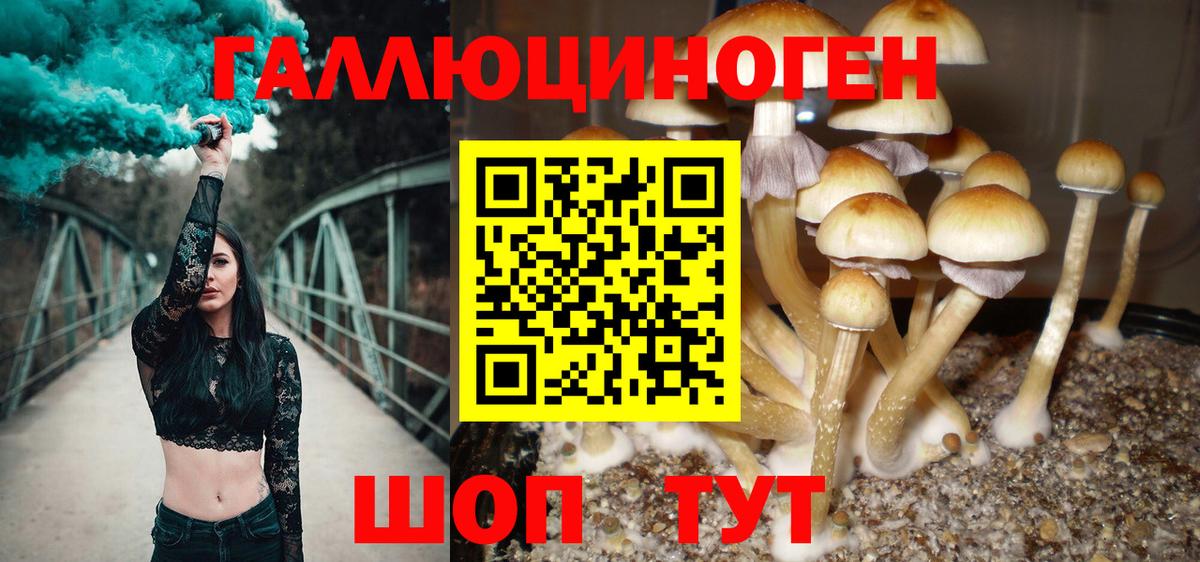 Ивантеевка  где найти наркотики  Вход с VPN  Псилоцибиновые грибы ЛСД 